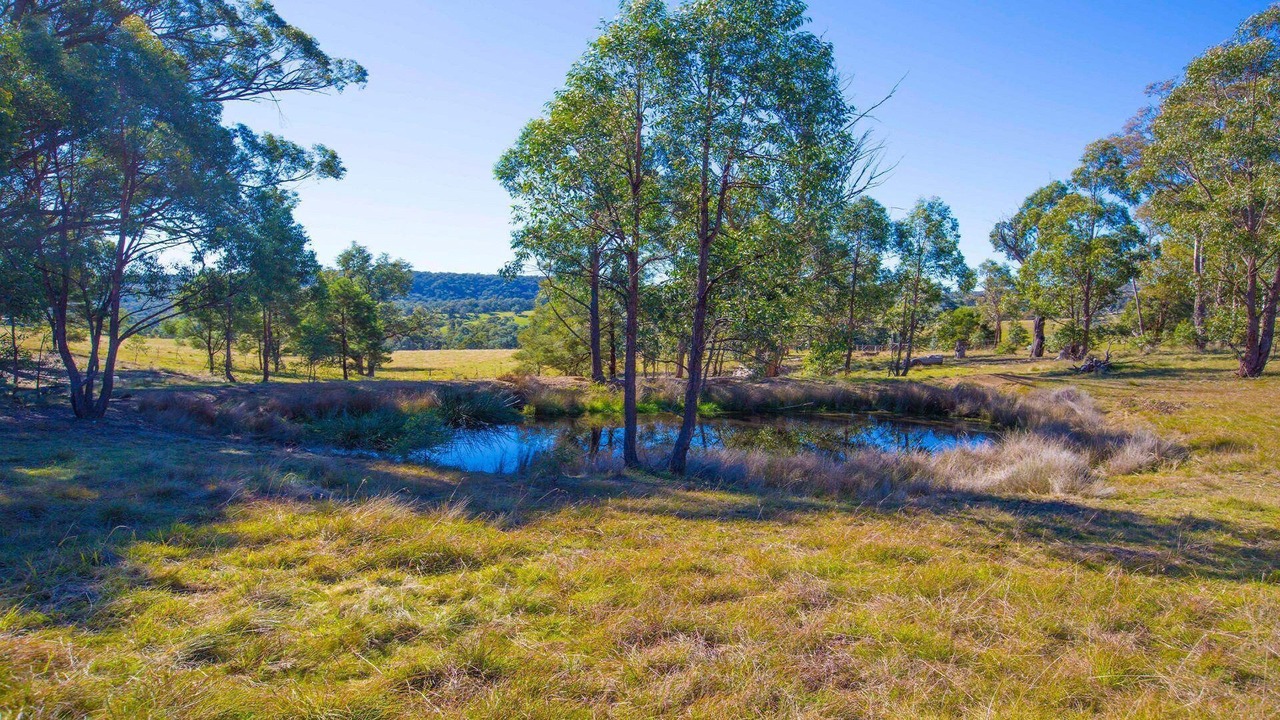 Photo of Outdoor in Canyonleigh