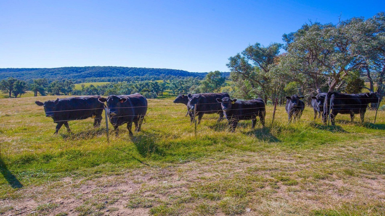 Photo of Outdoor in Canyonleigh