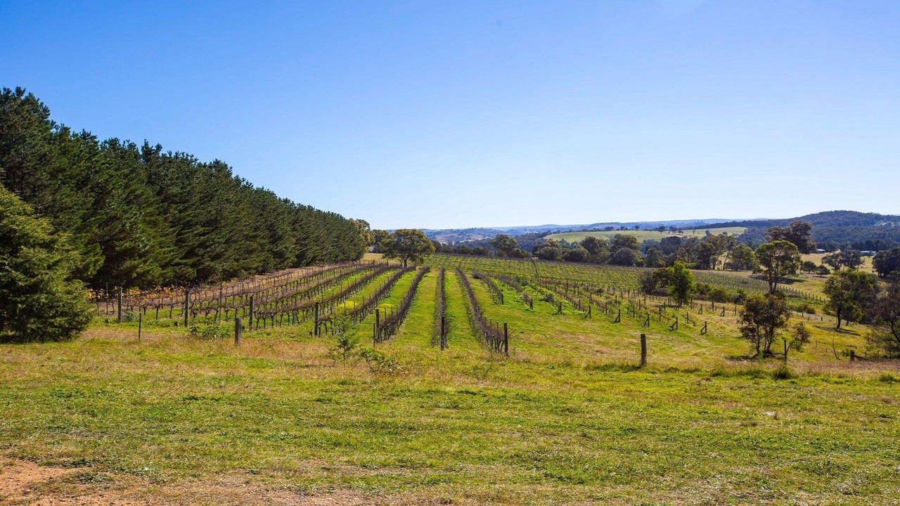 Photo of Outdoor in Canyonleigh