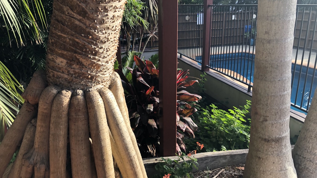 Photo of Outdoor in Elizabeth Beach