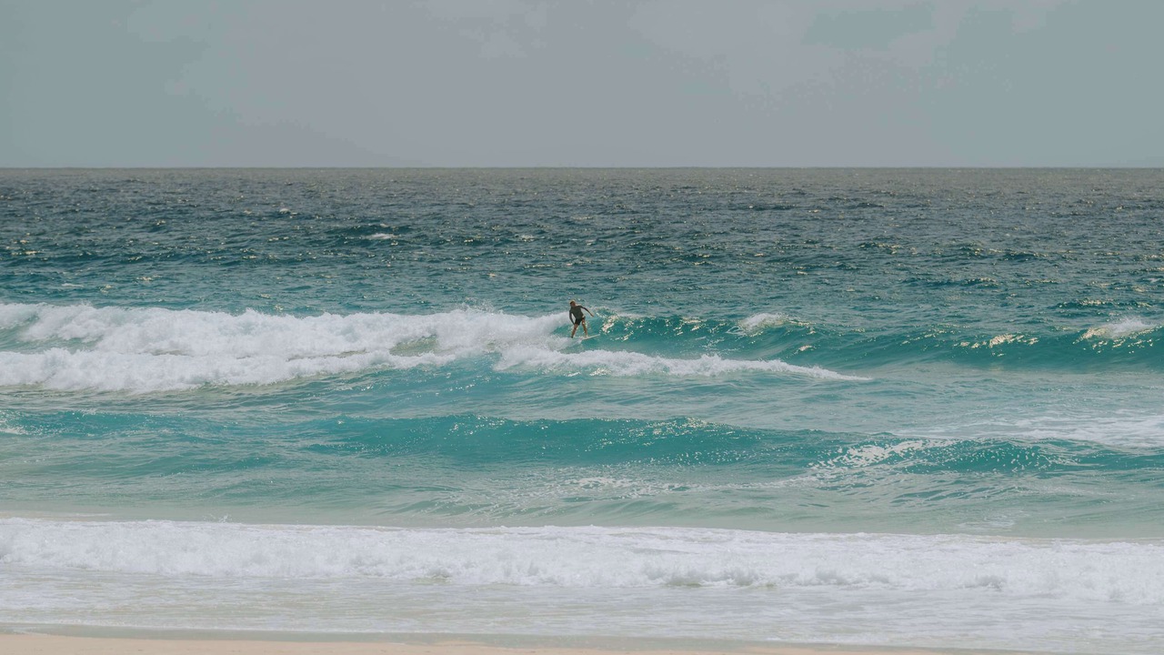 Photo of Others in Tugun