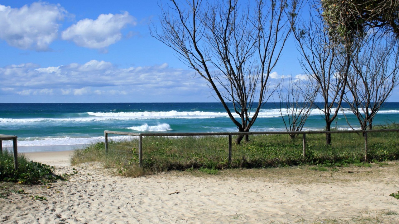 Photo of Others in Currumbin