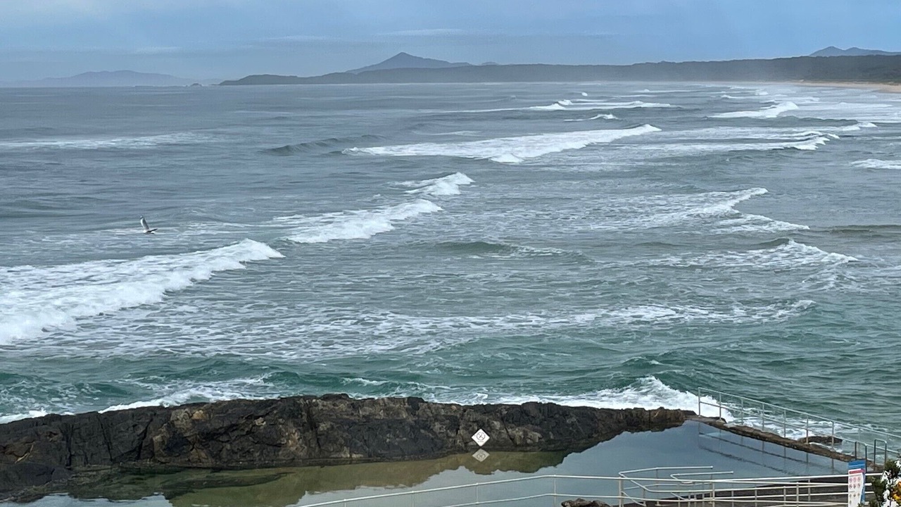 Photo of Others in Sawtell