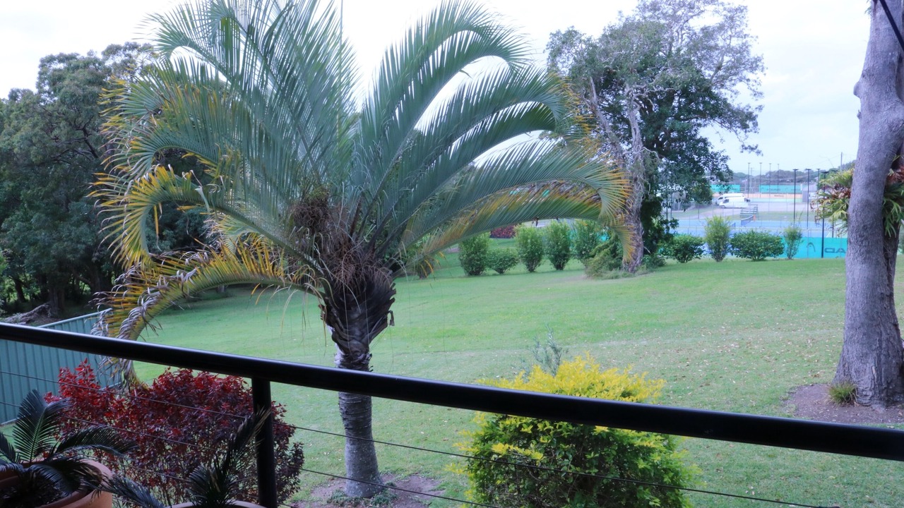 Photo of Others in Sawtell