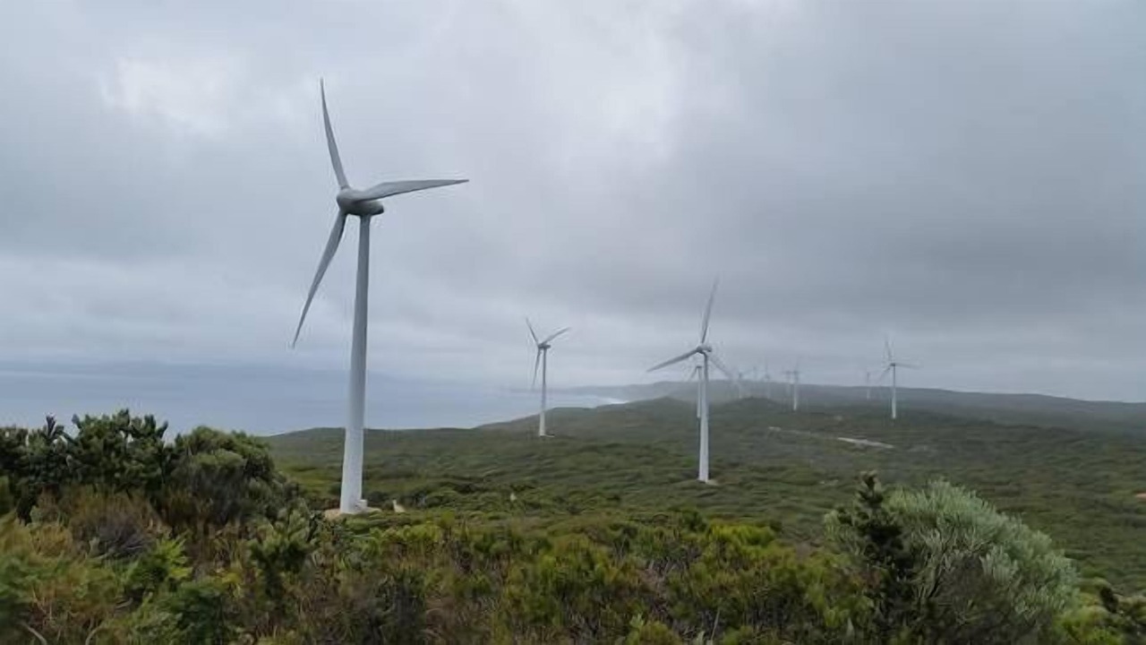 Photo of Others in Mira Mar
