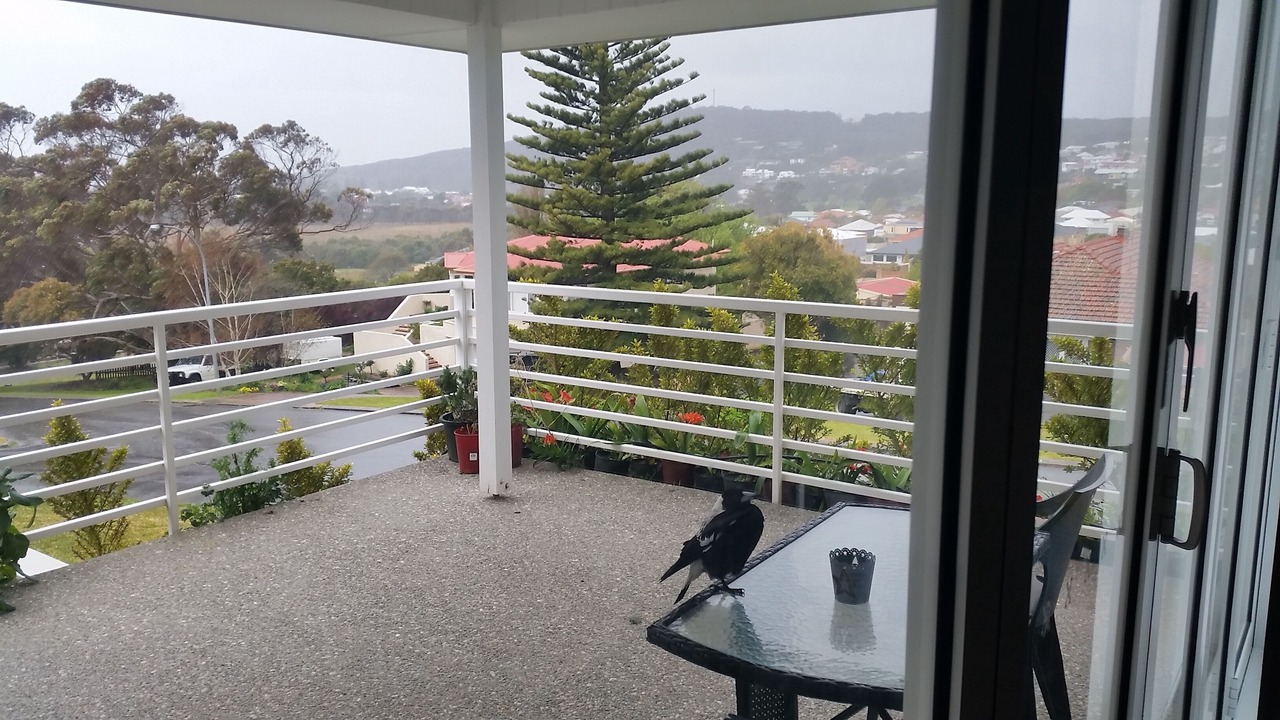 Photo of Patio Balcony in Mira Mar