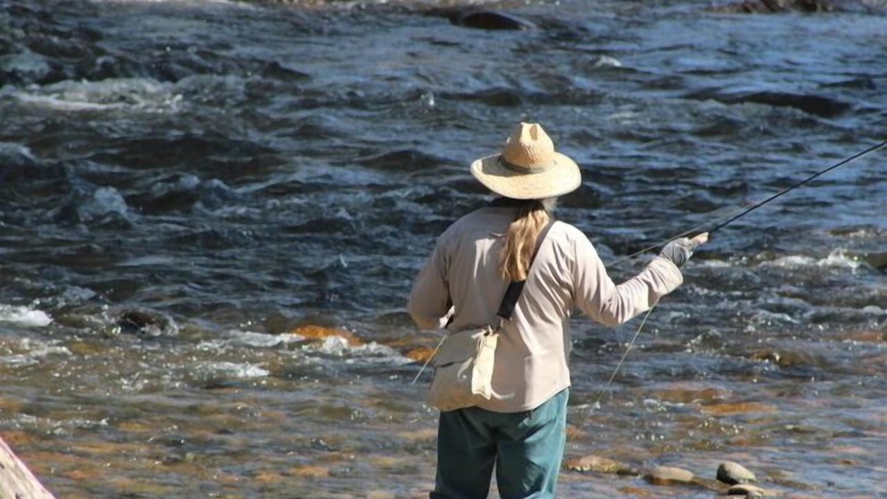 Photo of Others in Little River