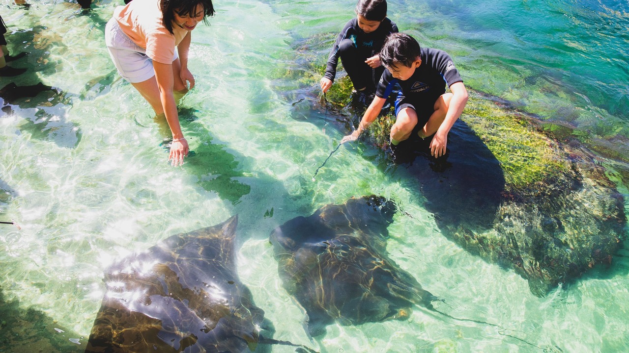 Photo of Others in Nelson Bay