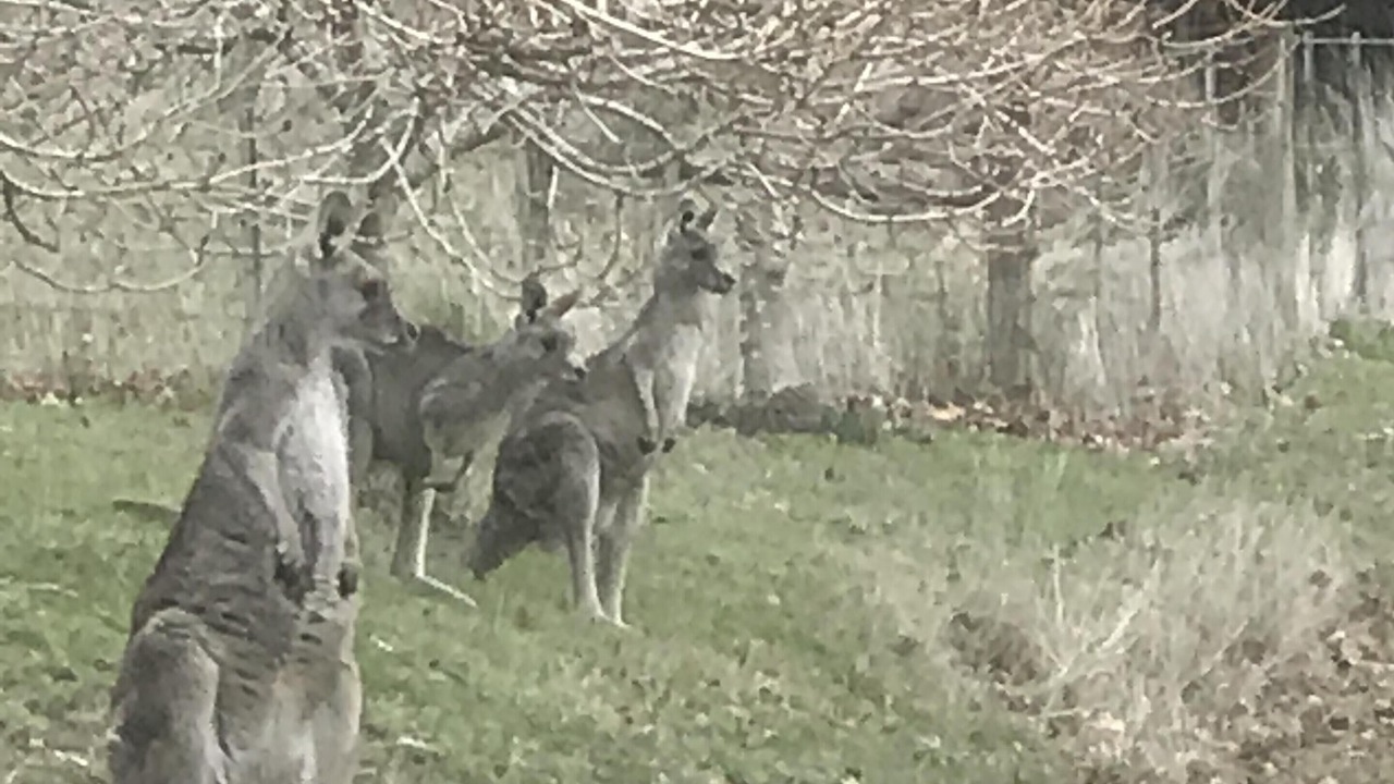 Photo of Outdoor in Woodend