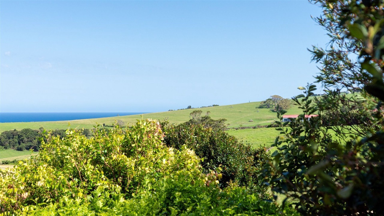 Photo of Others in Kiama Heights