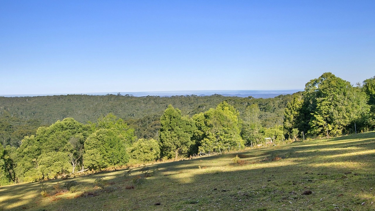 Photo of Outdoor in Mount Wilson