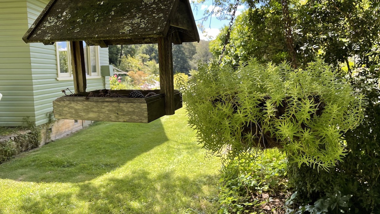 Photo of Outdoor in Mount Wilson
