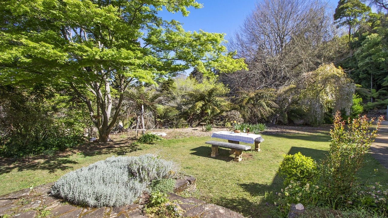 Photo of Outdoor in Mount Wilson