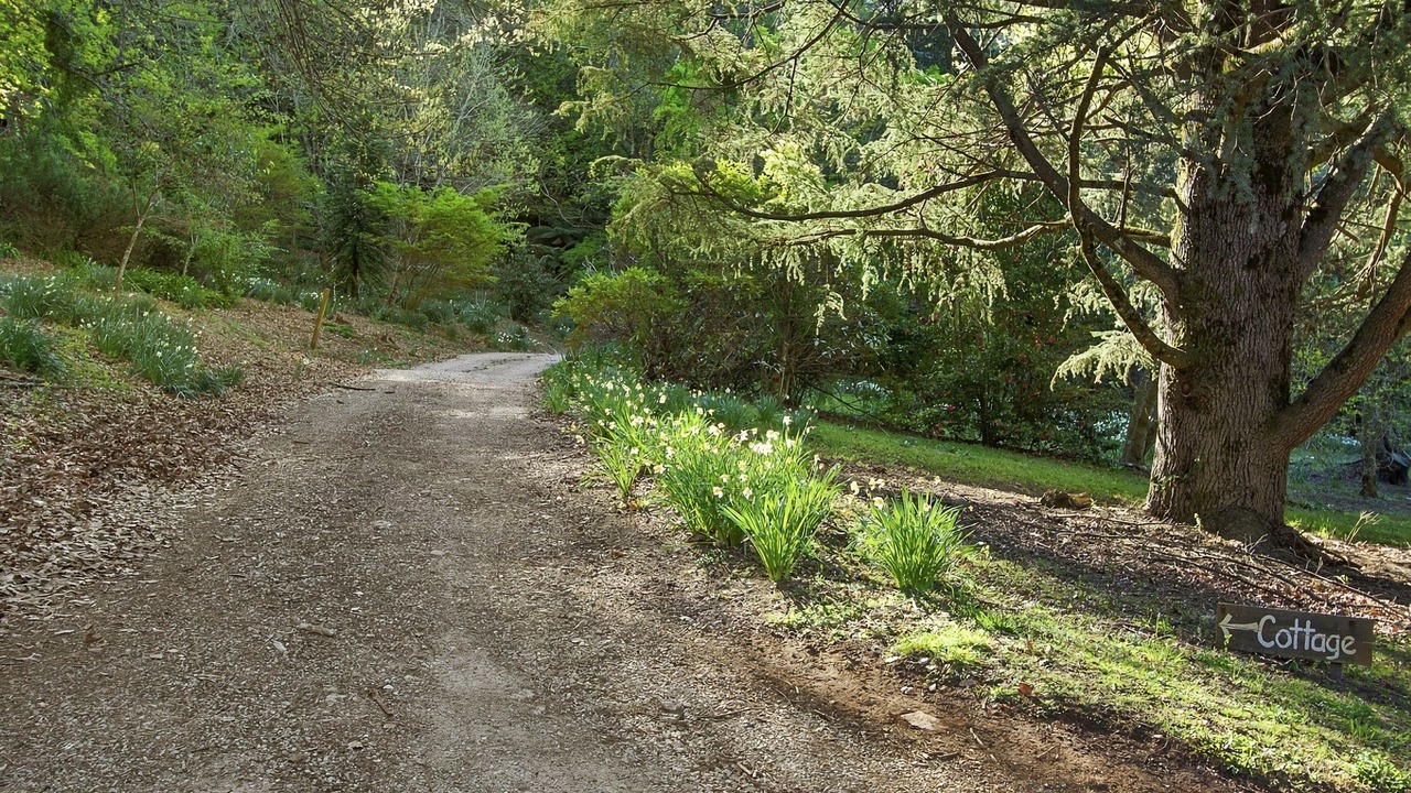 Photo of Outdoor in Mount Wilson