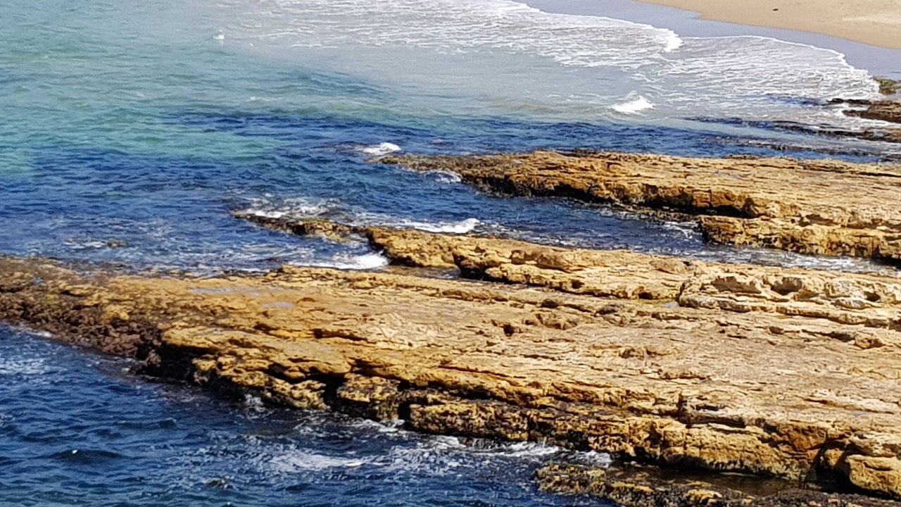 Photo of Others in Blackmans Bay