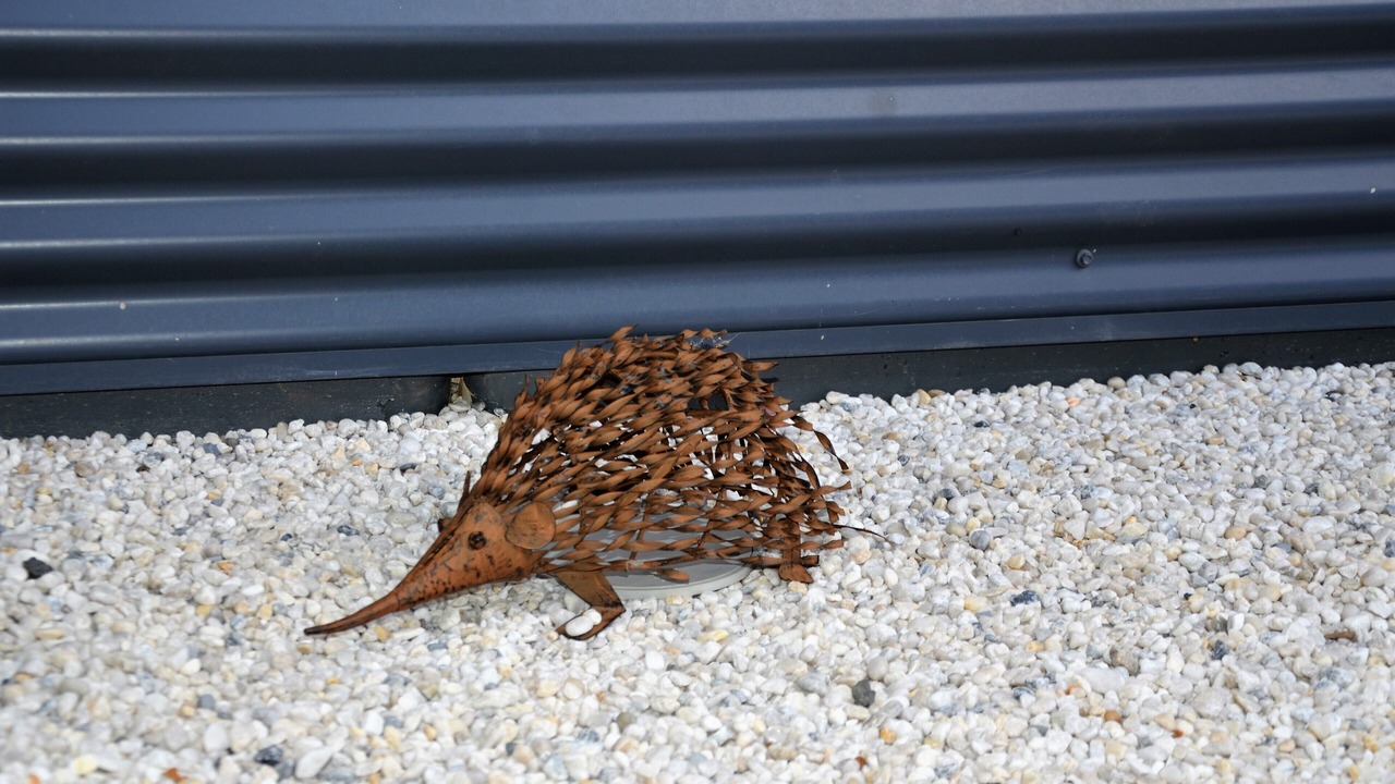 Photo of Others in Hazelgrove
