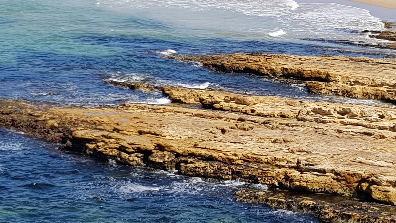 Photo of Others in Blackmans Bay