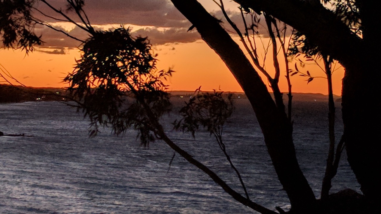 Photo of Others in Nelson Bay