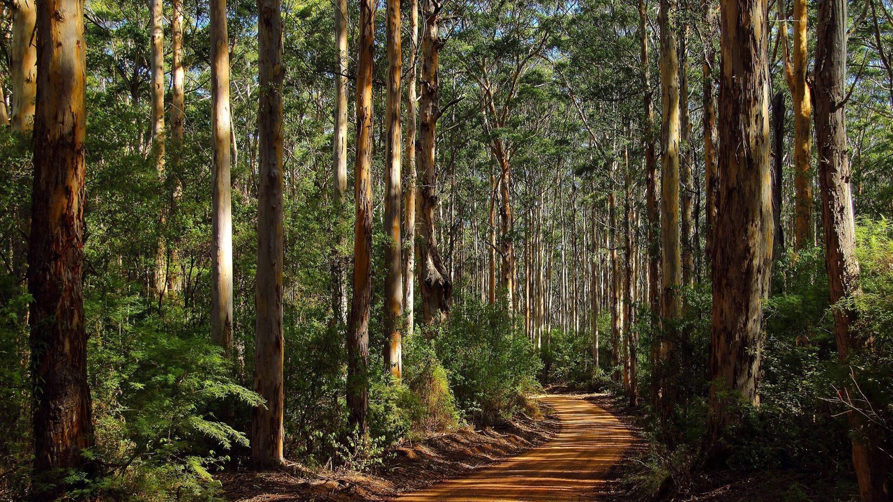 Photo of Others in Margaret River