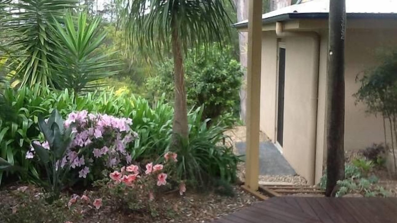 Photo of Outdoor in Terranora