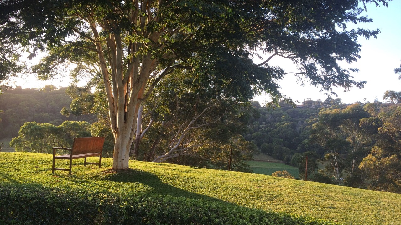 Photo of Outdoor in Terranora