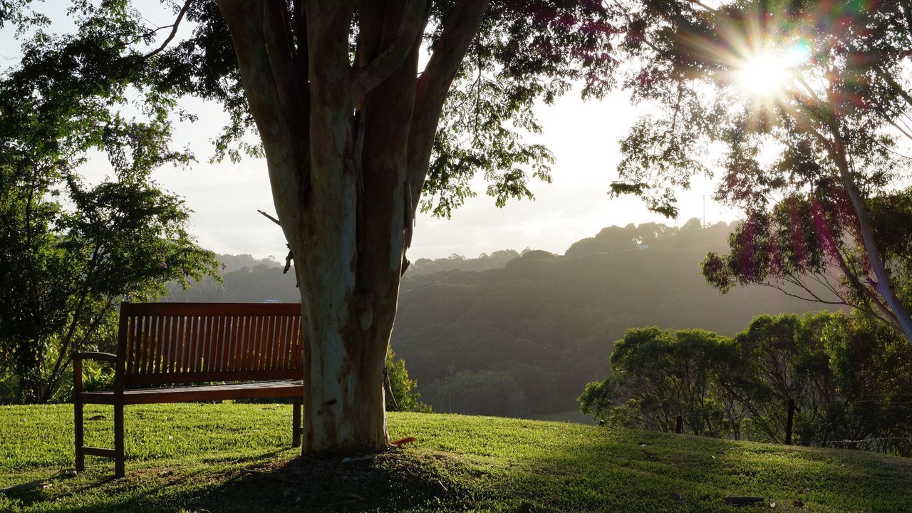 Photo of Outdoor in Terranora
