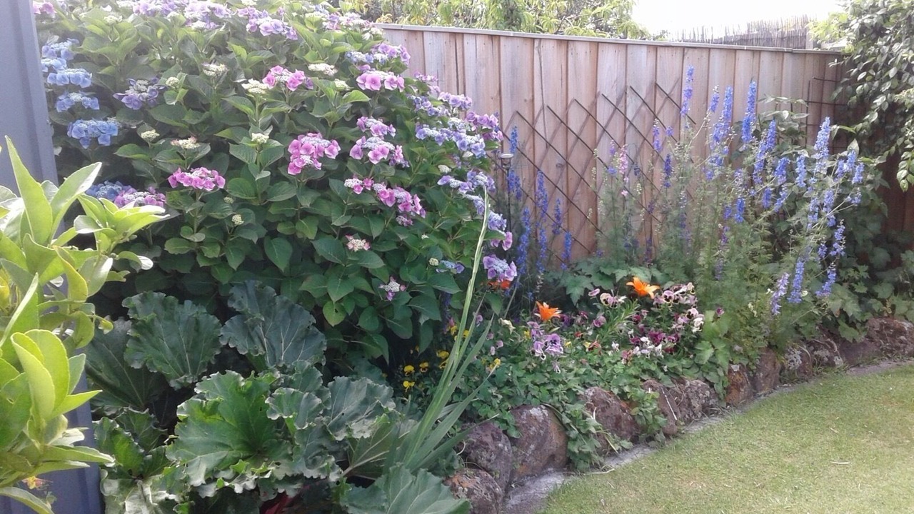Photo of Outdoor in Sandy Bay