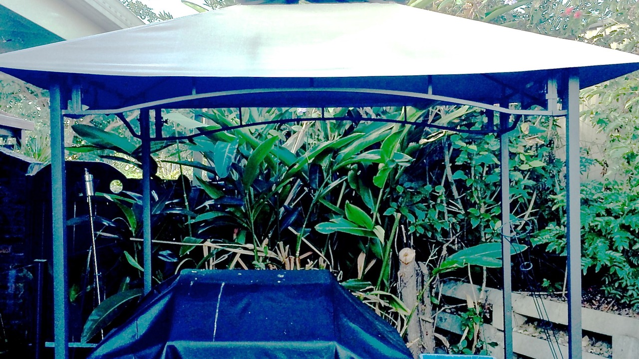 Photo of Outdoor in Algester