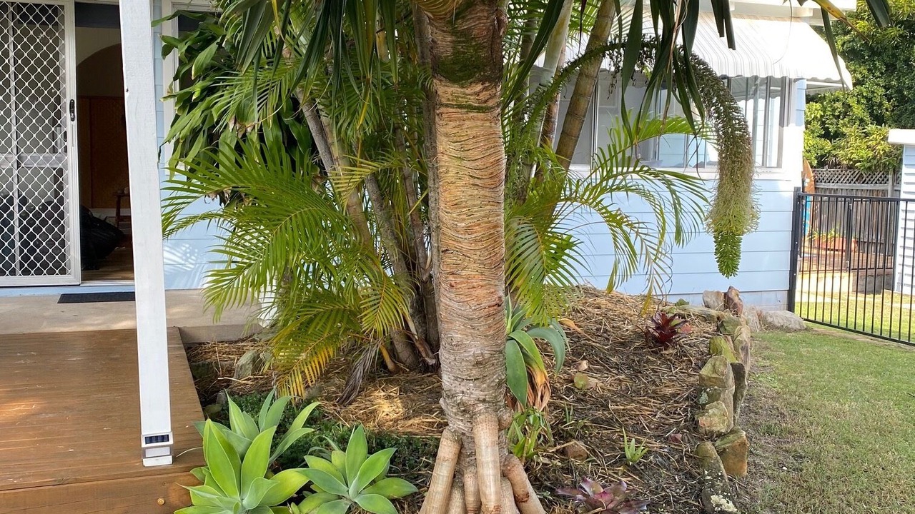 Photo of Outdoor in Iluka