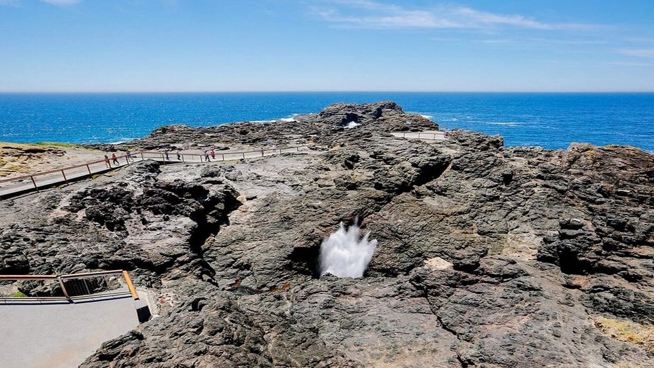Photo of Others in Kiama Downs