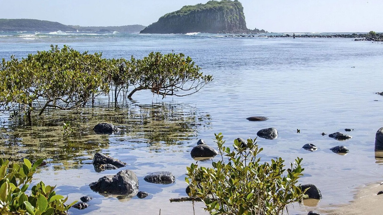 Photo of Others in Minnamurra