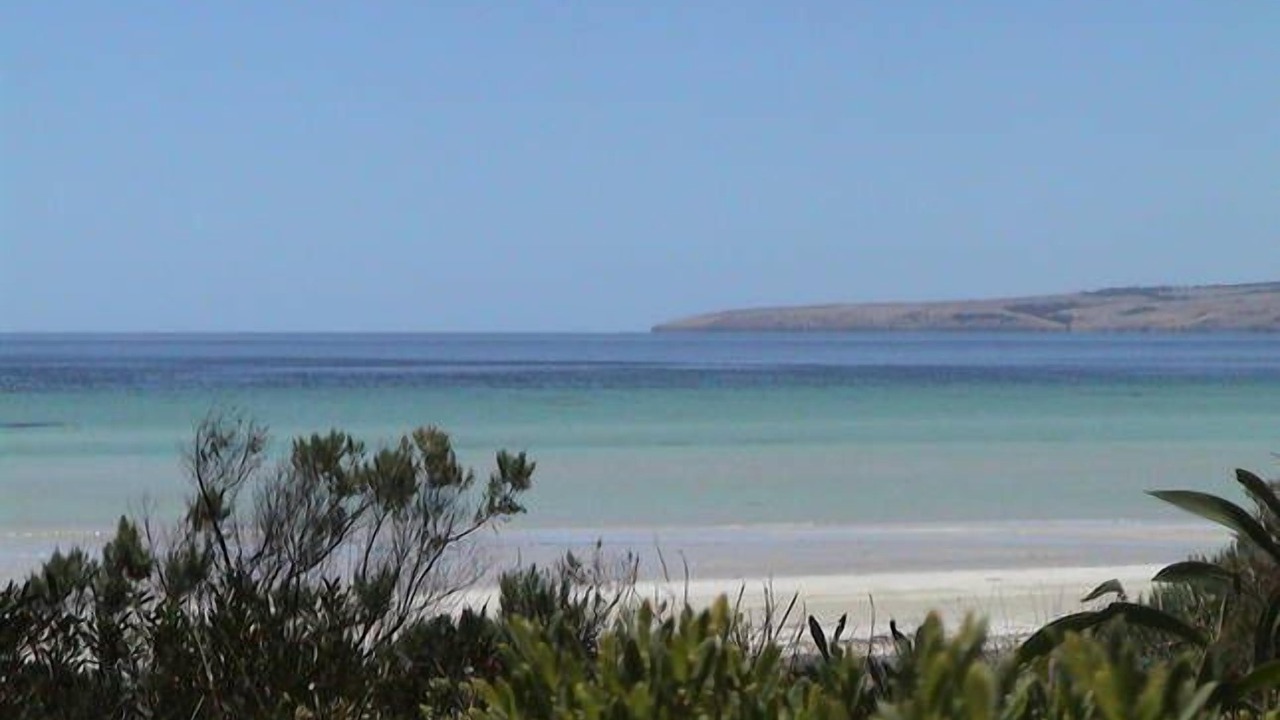 Photo of Others in Island Beach