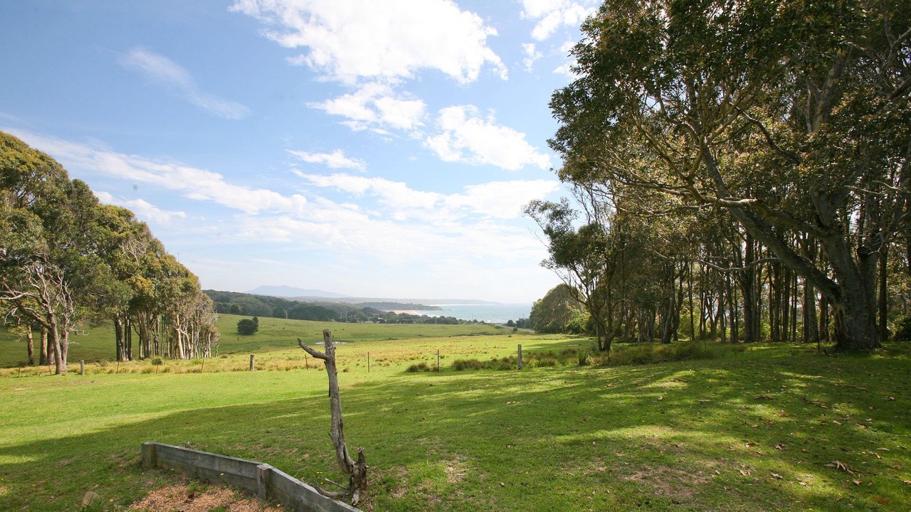 Photo of Others in Barragga Bay