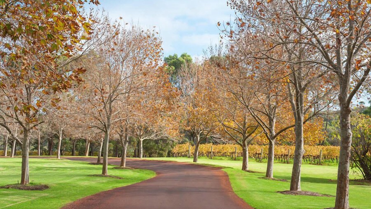 Photo of Outdoor in Wilyabrup
