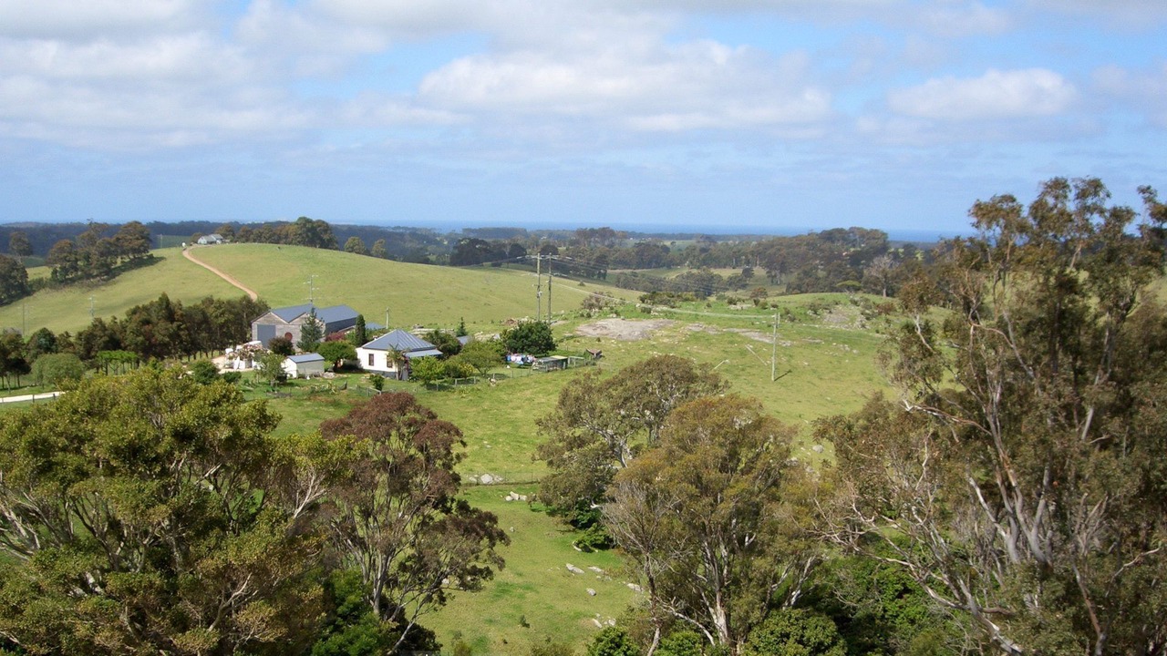 Photo of Others in Central Tilba