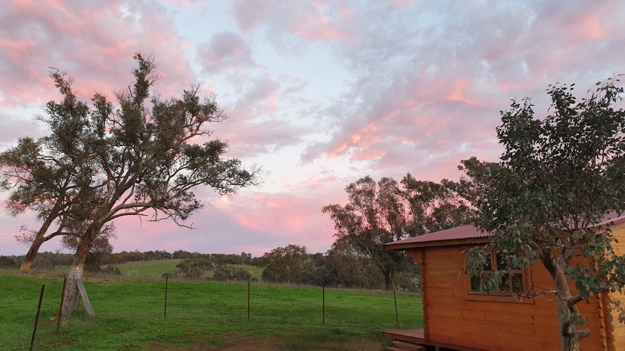 Photo of Others in Frankland River