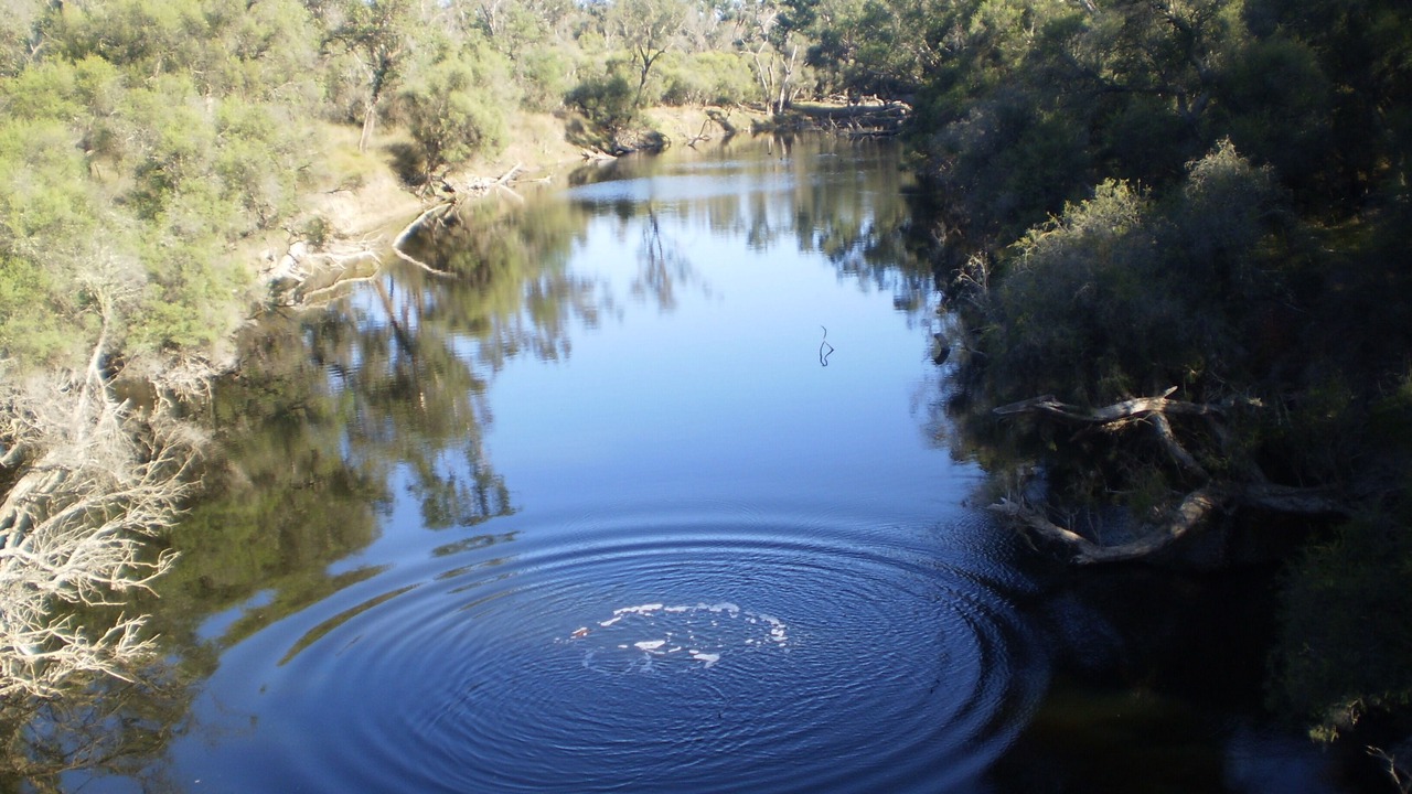 Photo of Others in Frankland River
