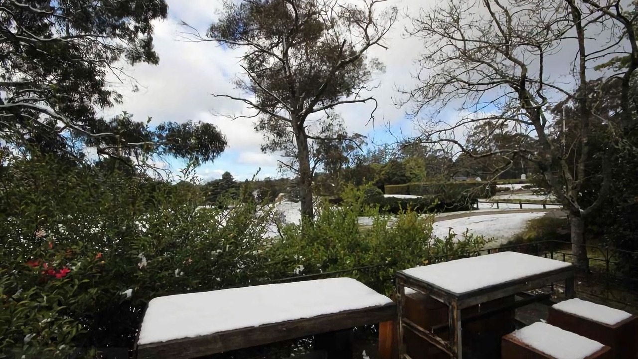 Photo of Outdoor in Blackheath