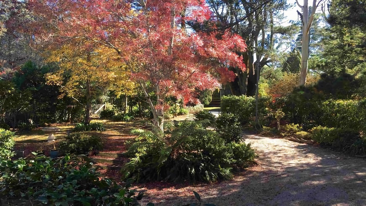 Photo of Outdoor in Medlow Bath