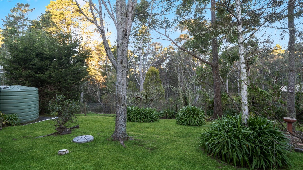 Photo of Outdoor in Medlow Bath