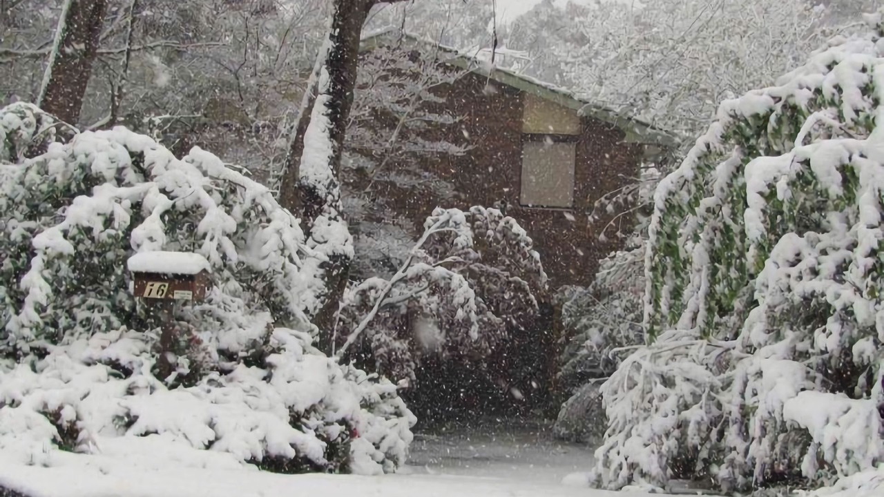 Photo of Outdoor in Blackheath