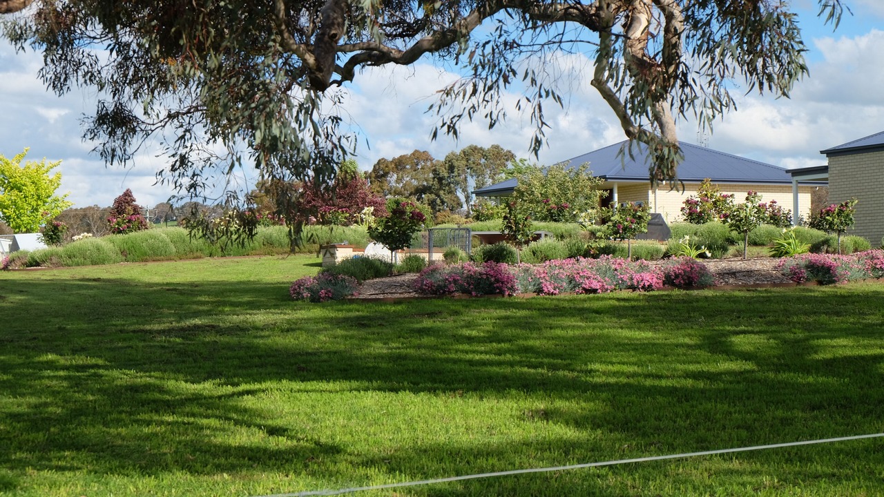 Photo of Outdoor in Borenore