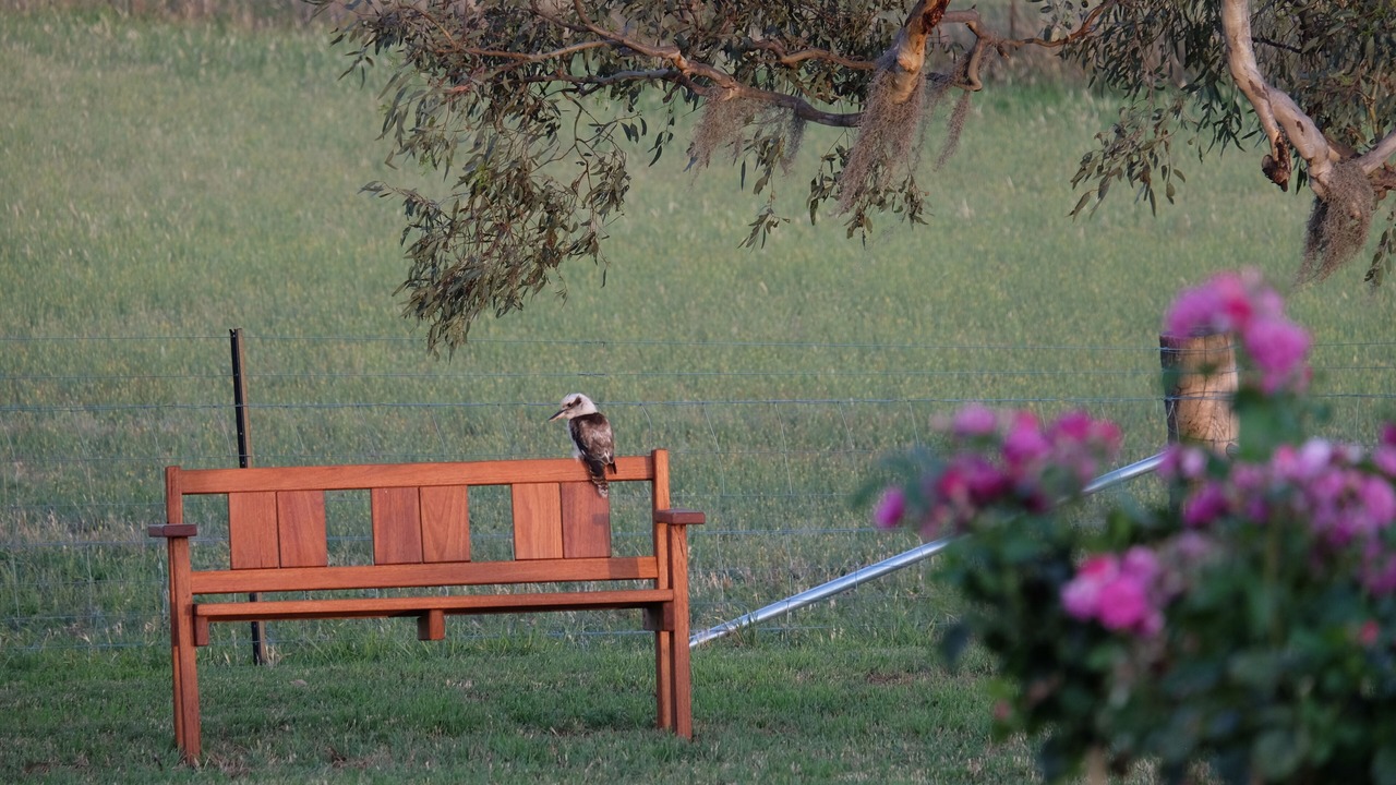 Photo of Outdoor in Borenore