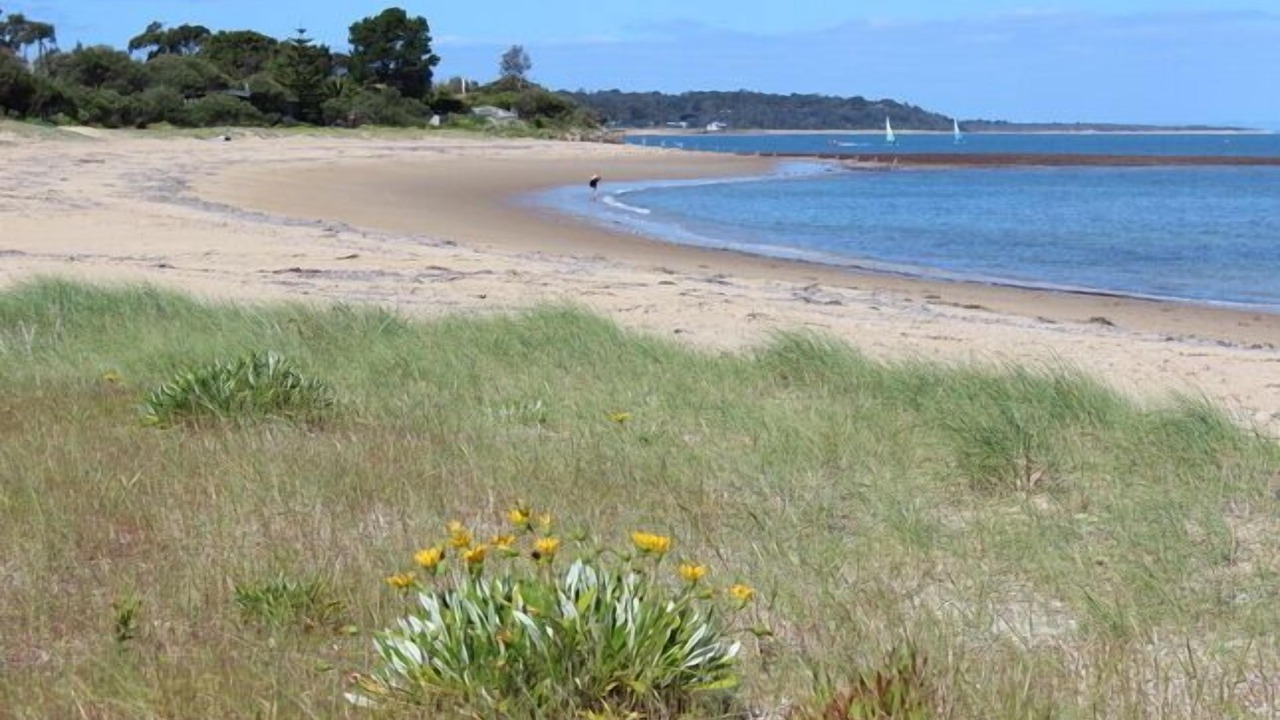 Photo of Others in Balnarring Beach