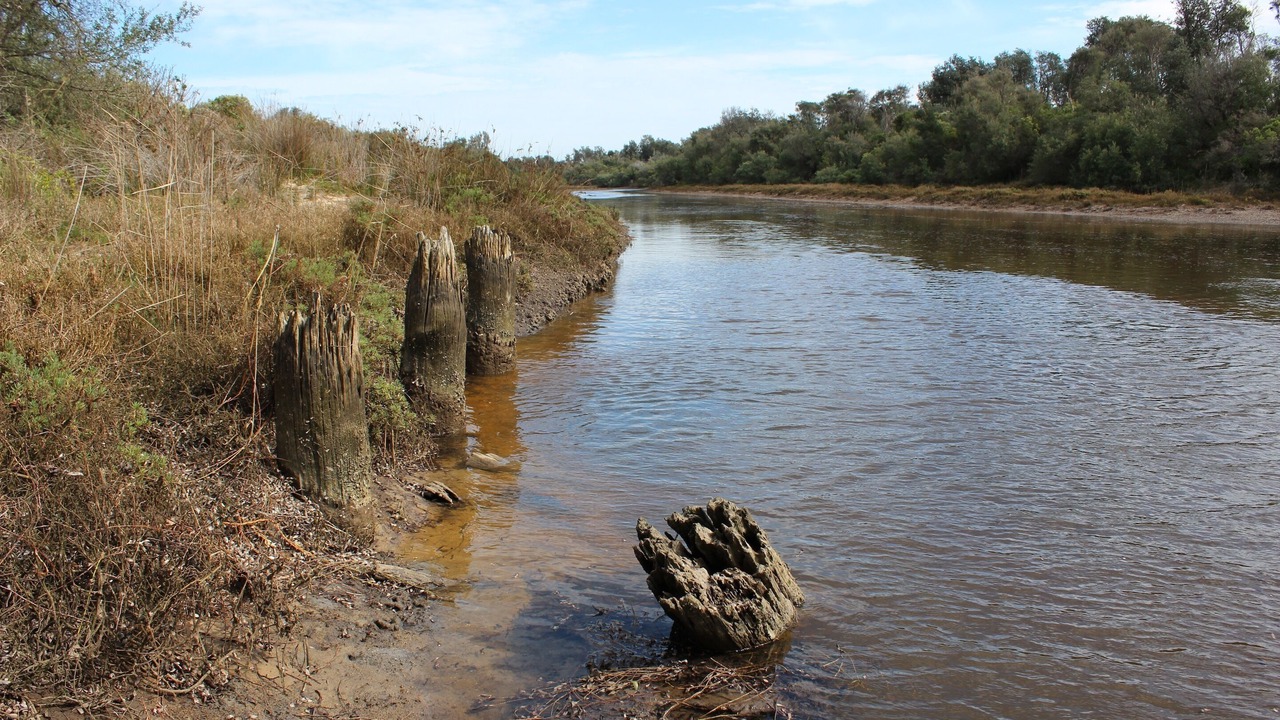 Photo of Others in Balnarring Beach