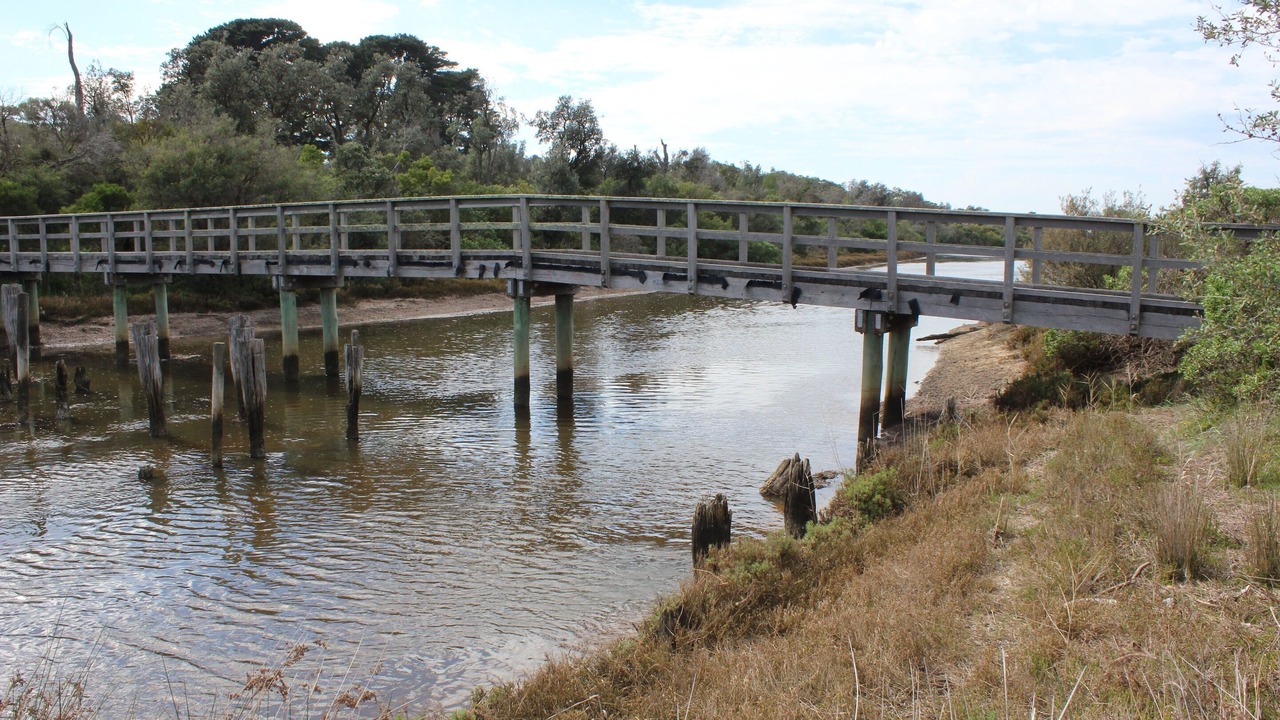 Photo of Others in Balnarring Beach