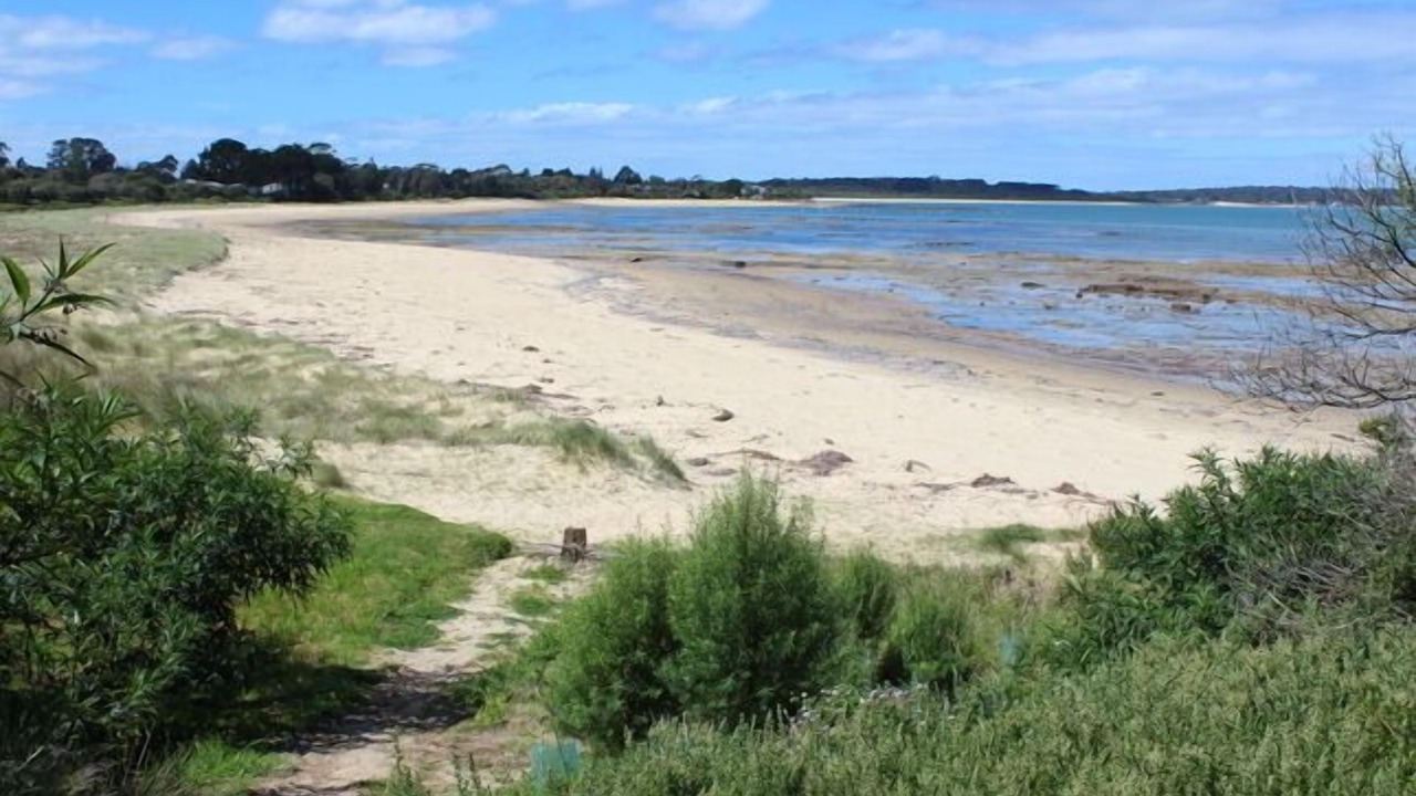 Photo of Others in Balnarring Beach