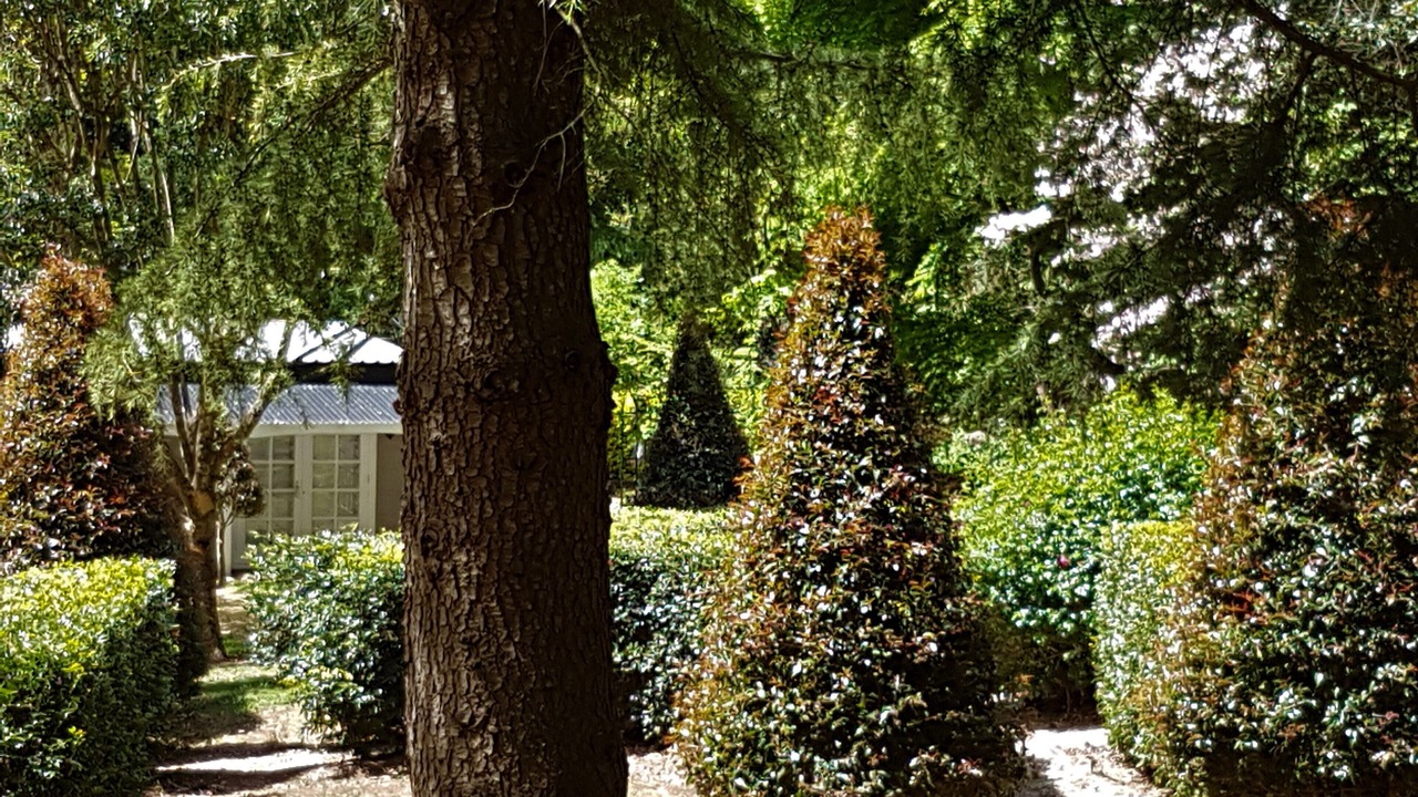 Photo of Others in Mount Tomah