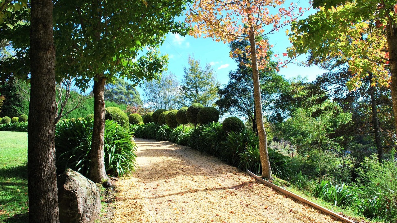 Photo of Others in Mount Tomah
