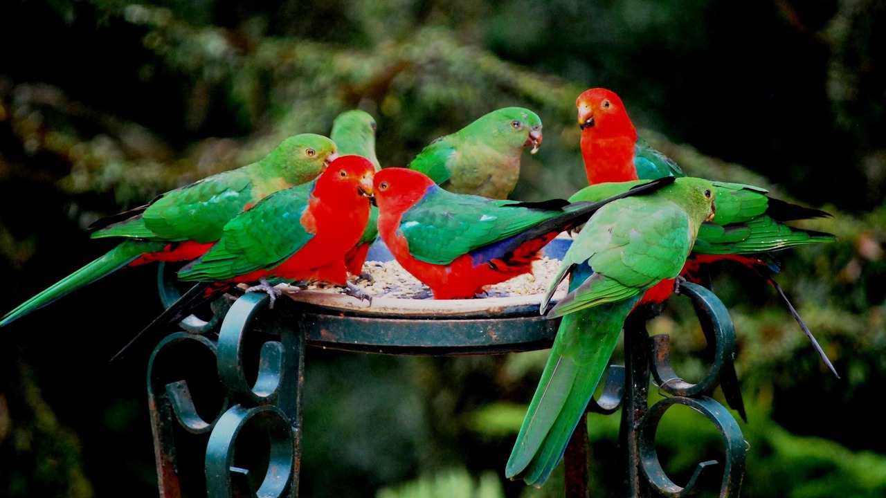 Photo of Others in Mount Tomah
